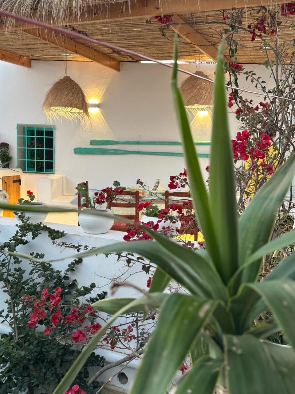 Bed and Breakfast Dar El Mahdia By Daldoul Exterior foto